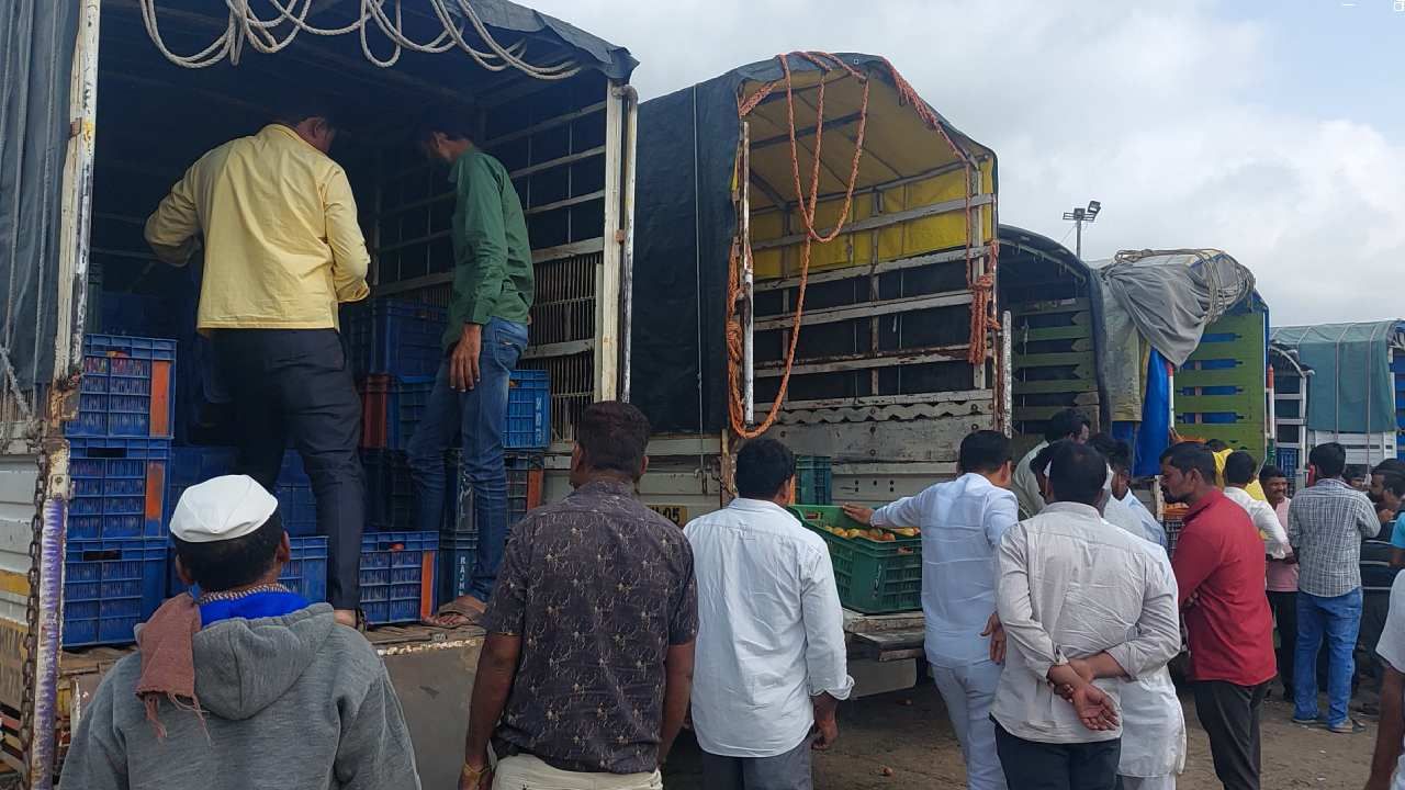 Tomato Rate Today : टोमॅटोच्या 50 ते 55 गाड्या मुंबईच्या मार्केटमध्ये, जाणून घ्या आजचे दर