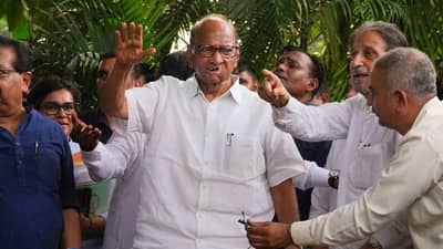 द्राक्ष पिकाबाबत शरद पवार यांचा राज्य सरकारला सल्ला; म्हणाले, कमीत कमी इतके टक्के अनुदान द्या...