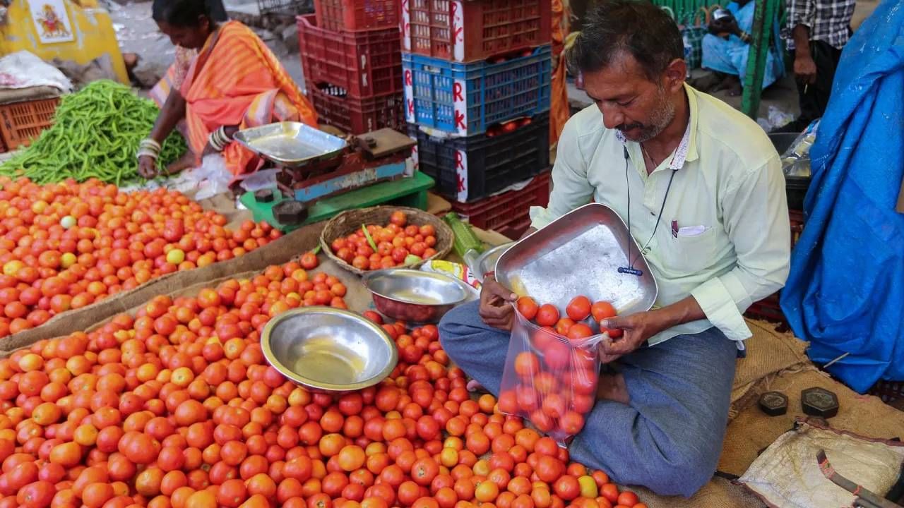 Tomato Price : टोमॅटोचा उतरला का तोरा, आता काय आहे भाव