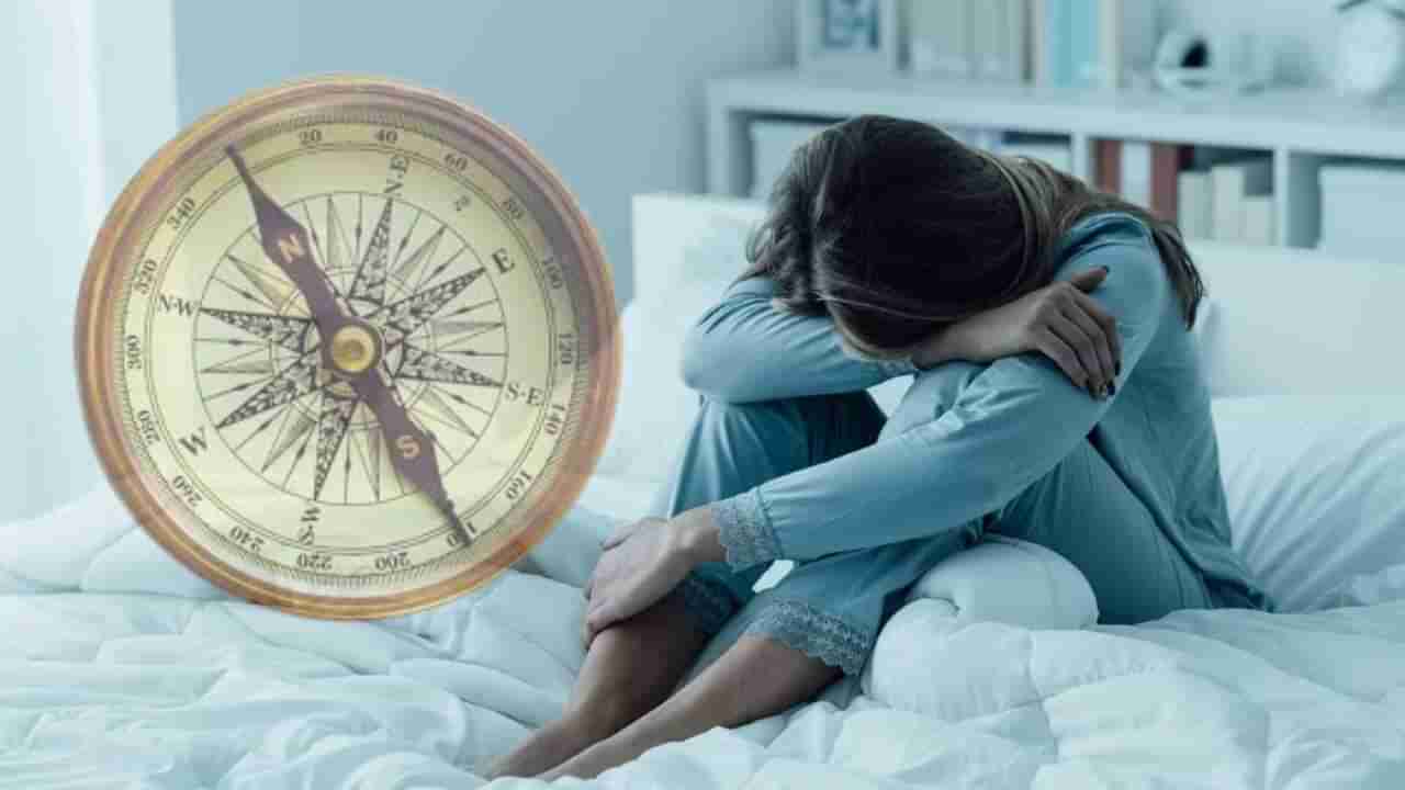 Vastu Tips : मानसिक तणावापासून पाहिजे असेल मुक्ती तर, वास्तूशास्त्रातल्या या उपायांचे नक्की करा पालन