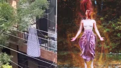 VIDEO | महिलेला मध्यरात्री झाडावर लटकताना दिसले..., घाबरून घालवली रात्र, सकाळी समजलं...