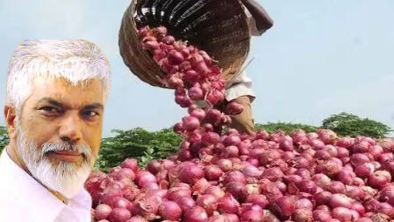 कांदा शेतकरी हवालदिल, पण, मंत्री म्हणतात, परवडत नसेल तर... कांदा शेतकरी हवालदिल, पण, मंत्री म्हणतात, परवडत नसेल तर...
