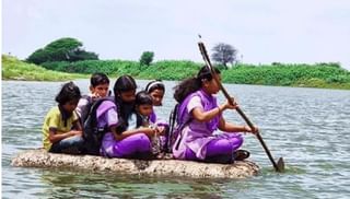 द्राक्ष पिकाबाबत शरद पवार यांचा राज्य सरकारला सल्ला; म्हणाले, कमीत कमी इतके टक्के अनुदान द्या…