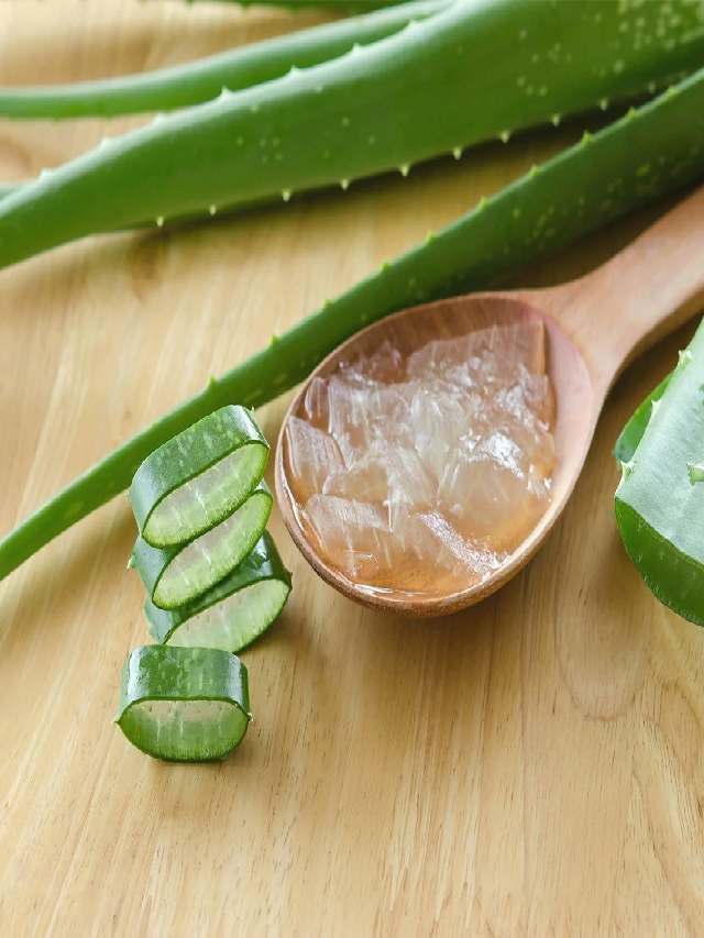 घरच्या घरी असा बनवा कोरफडीचा मास्क, त्वचेला मिळतील अनेक फायदे