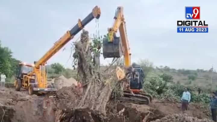 क्या बात है ! बीड-अहमदनगर मार्गाच्या रुंदीकरणात येणाऱ्या 100 वर्ष जुन्या झाडाचं रिप्लांटेशन क्या बात है ! बीड-अहमदनगर मार्गाच्या रुंदीकरणात येणाऱ्या 100 वर्ष जुन्या झाडाचं रिप्लांटेशन