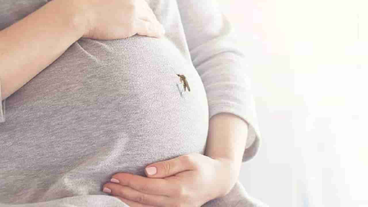 Dengue During Pregnancy: गर्भावस्थेत घातक ठरू शकतो डेंग्यू, वाचा लक्षणे, उपाय!