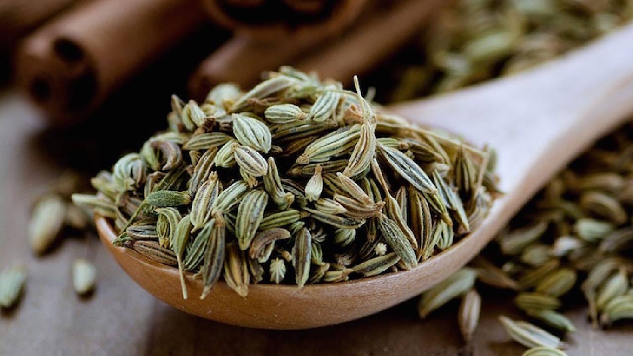 बडीशेप खाऊन तुम्ही वजन कसे कमी करू शकता? Marathi News Weight loss