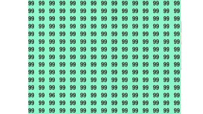 Optical Illusion | या चित्रात 96 हा आकडा शोधून दाखवा!