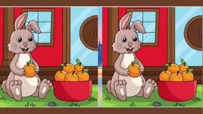 Optical Illusion | या दोन चित्रांमधील फरक मोजून 20 सेकंदात सांगा!