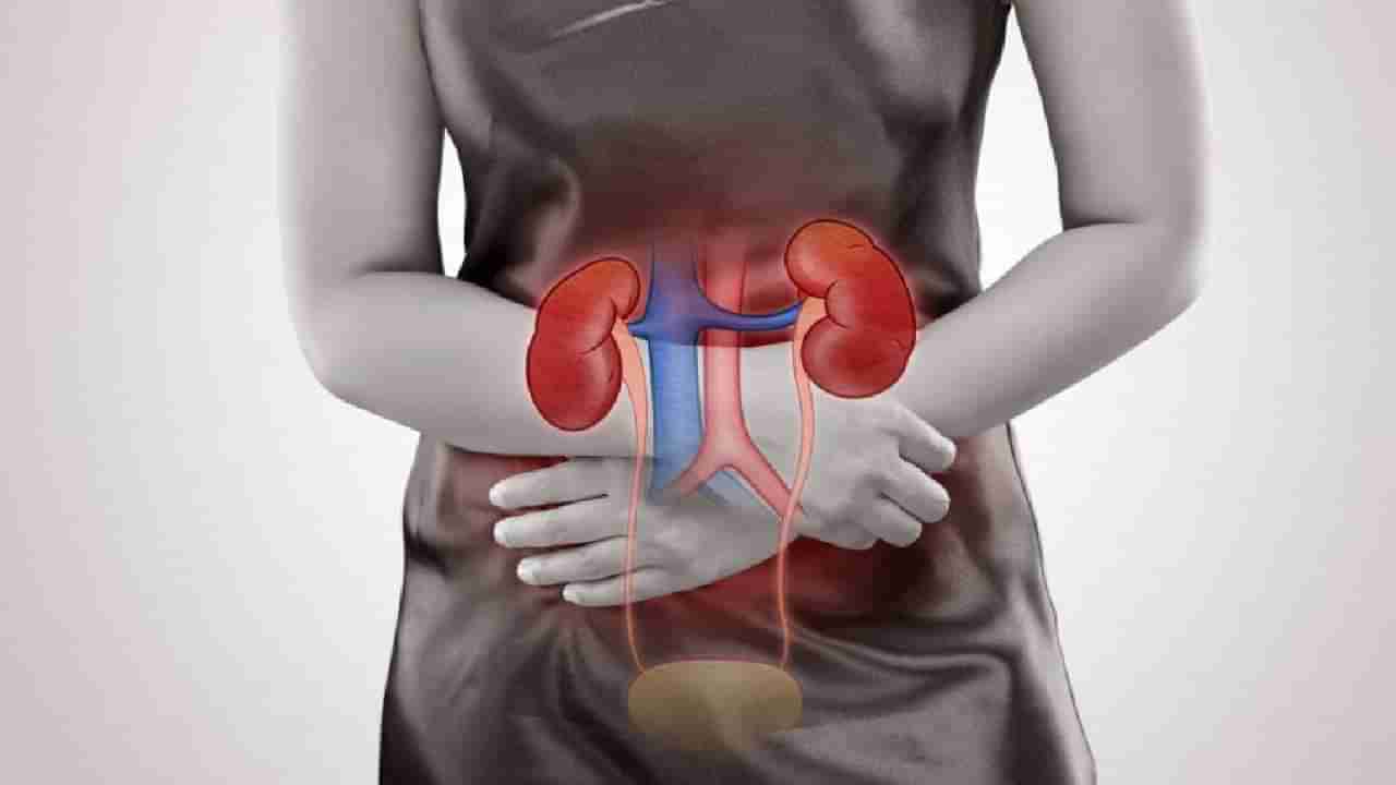 Kidney Disease | वेळीच ओळखा किडनीचा आजार! वाचा काय आहेत लक्षणे