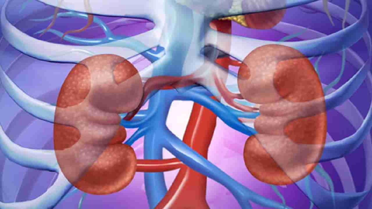 किडनीच्या आजाराचा धोका कसा ओळखावा? काय लक्षणे आहेत?
