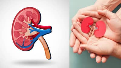 Health : या वाईट असतील वेळीच सुधारा, नाहीतर होईल थेट किडनीवर परिणाम?