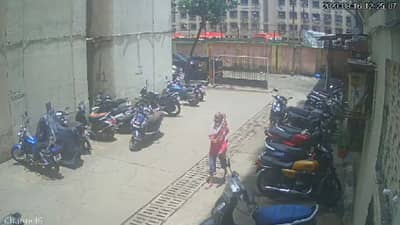 माणुसकीला काळिमा फासणारी घटना, मांजरीला जखमी केले म्हणून कुत्र्यावर अॅसिड हल्ला, महिलेला अटक