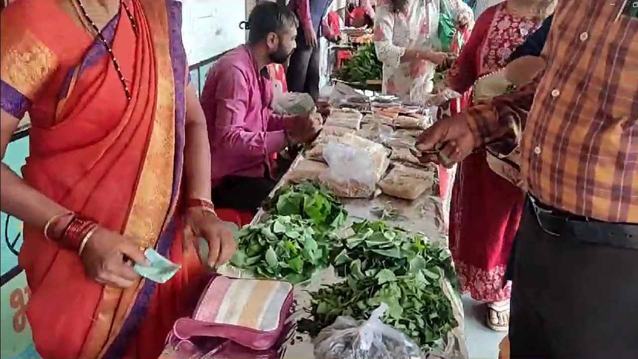  त्यामुळे रानभाज्या या शरीरासाठी अत्यंत उपयोगी मानल्या जातात. 