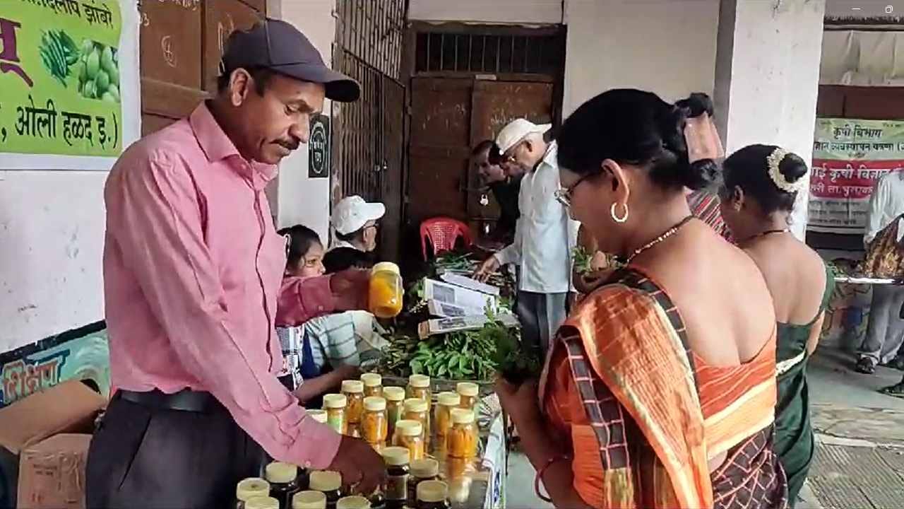 भुसावळ येथे कृषी विभागाच्यावतीने रानभाज्या महोत्सवाचे आयोजन करण्यात आले असून या महोत्सवात विविध जातीच्या रानभाज्या शेतकऱ्यांनी विक्रीसाठी आणले आहे.