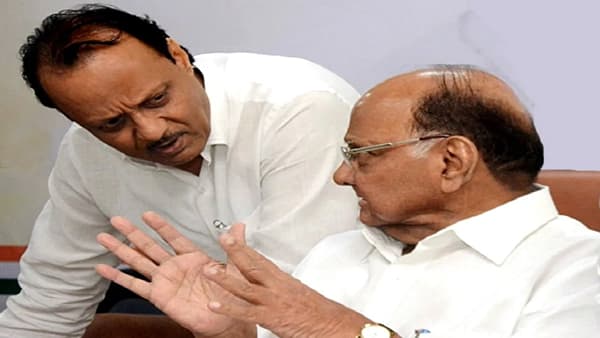 ‘काका-पुतण्या मिळून महाराष्ट्राला वेड्यात काढतायत’, शरद पवार आणि अजित पवार यांच्यावर कुणाची सडकून टीका?