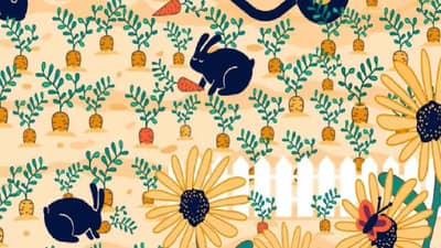 या चित्रात तुम्हाला रिंग दिसतेय का? चला सांगा...