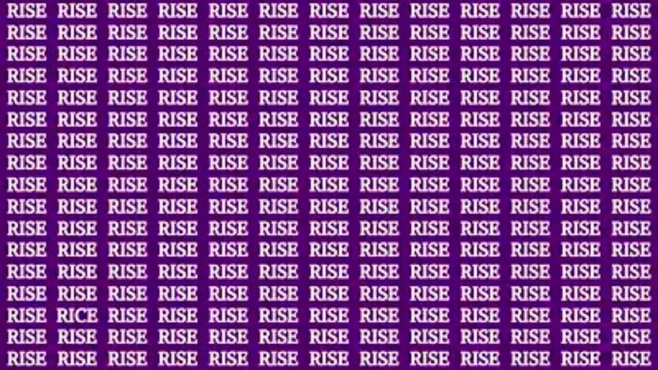 यात RISE मध्ये RICE शोधून दाखवा! ज्याला उत्तर सापडेल तोच हुशार