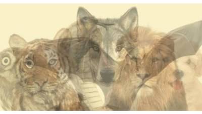 Personality Test | सांगा तुम्हाला यात कोणता प्राणी दिसलाय? ओळखा कसं आहे तुमचं व्यक्तिमत्त्व