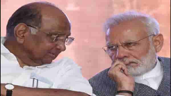‘मोदींना तुरूंगात जाण्यापासून शरद पवार यांनी वाचवलं’; मनसेच्या बैठकीत नेमकं काय म्हणाले राज ठाकरे?
