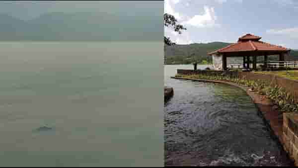 Pune news : सुट्टीनिमित्त औंधहून भोरला कुटुंबासह पिकनिकला गेले, धरणाच्या बॅकवॉटरमध्ये पोहण्याचा मोह झाला अन्...