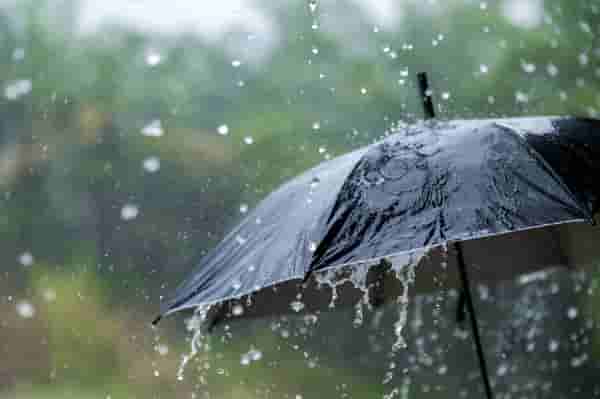IMD Weather | कोकण, गोवा आणि मध्य महाराष्ट्रात येत्या 48 तासात कसा होणार पाऊस?