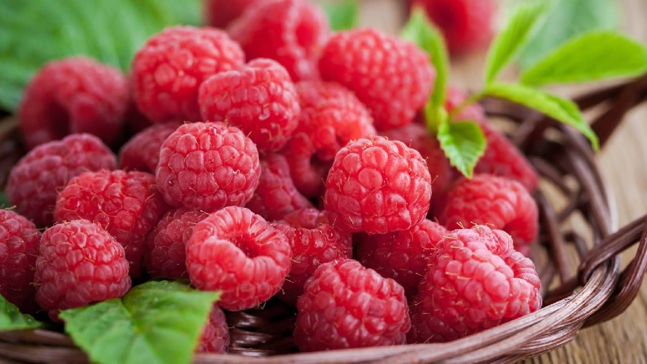 रासबेरी: या फळाच्या वनस्पतीची पाने, मुळे आणि फुले पारंपारिक औषधांमध्ये वापरली जातात. सौंदर्य आणि त्वचेची काळजी याबाबतीत रासबेरी उत्तम आहे. हे फळ आपल्या त्वचेचा चिडचिडेपणा दूर करते ज्यामुळे आपली त्वचा मऊ आणि आनंदी राहते.