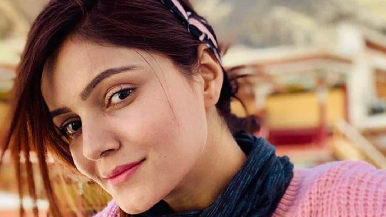 टीव्ही अभिनेत्री रुबीना दिलैक ही नेहमीच चर्चेत असते. चार वर्षे अभिनव शुक्ला याला डेट केल्यानंतर अभिनव शुक्ला याच्यासोबत रुबीना दिलैक हिने लग्न केले. आपल्या पर्सनल लाईफमुळे नेहमीच रुबीना दिलैक चर्चेत असते.