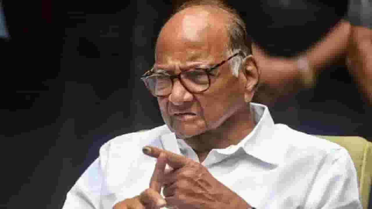 '... हा तर मोठा जोक!', विजय वडेट्टीवार यांच्या शरद पवार यांच्यावरील 'त्या' टीकेला राष्ट्रवादीच्या नेत्याचं प्रत्युत्तर