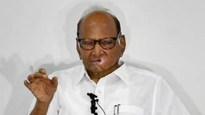 स्थानिक स्वराज्य संस्थांच्या निवडणुका का घेतल्या जात नाही?, शरद पवार यांचा मोठा दावा काय?; भाजपच्या अडचणी वाढणार?