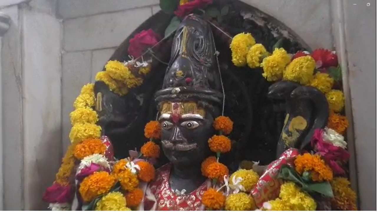 श्रावण महिन्यात महादेवाच्या दर्शनासाठी भाविक गर्दी करत असतात. नाशिकच्या प्रसिद्ध अशा त्र्यंबकेश्वर मंदिरात आज पहिल्या श्रावणी सोमवार निमित्ताने भाविकांची दर्शनासाठी मोठी गर्दी झालीय. गेल्या महिनाभरापासून श्रावण अधिक मासमध्ये देखील भाविकांची वर्दळ होती. आज पहिल्या सोमवारी देखील त्र्यंबकराजाचे दर्शन घेण्यासाठी देशभरातून भाविक आले आहे. 