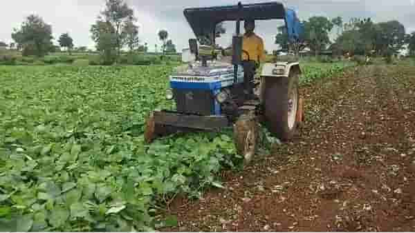 Farmer News : संतापलेल्या शेतकऱ्याने दीड एकर मूग पिकावर फिरवला ट्रॅक्टर, कारण सांगितल्यानंतर...