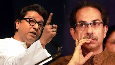 राज ठाकरे आणि उद्धव ठाकरे एकत्र आले असते? खोडा कुणी घातला?; शिंदे गटाच्या खासदाराचा सर्वात मोठा दावा काय?