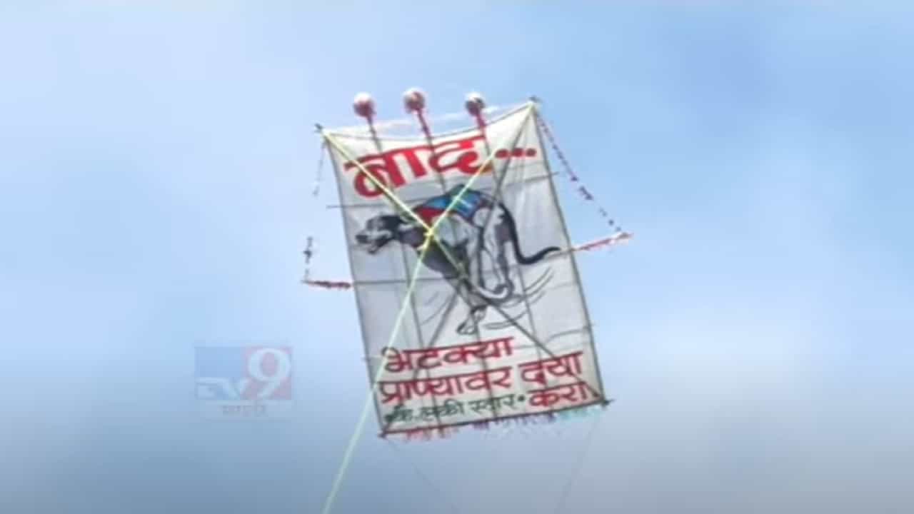 सोलापूरच्या निमगावच्या 200 वर्ष जुन्या वावडी महोत्सवात शेतकऱ्यांचा मर्दानी खेळ