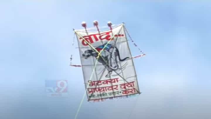 सोलापूरच्या निमगावच्या 200 वर्ष जुन्या वावडी महोत्सवात शेतकऱ्यांचा मर्दानी खेळ सोलापूरच्या निमगावच्या 200 वर्ष जुन्या वावडी महोत्सवात शेतकऱ्यांचा मर्दानी खेळ