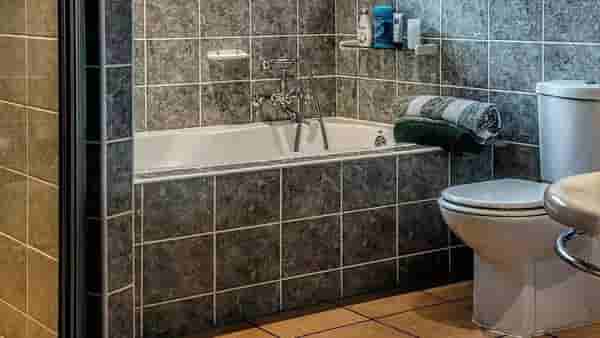 Washroom Vastu Tips : बाथरूममध्ये ठेवलेल्या या गोष्टींमुळे लागतो वास्तुदोष, थांबते आर्थिक प्रगती