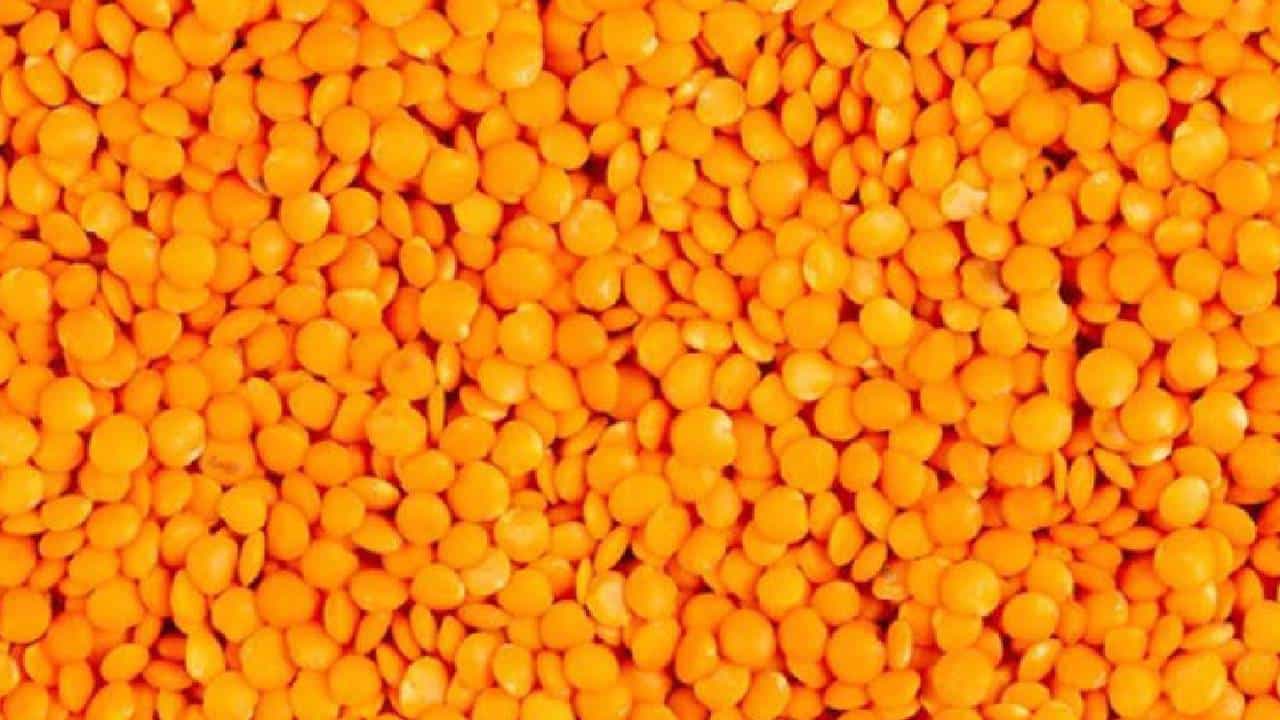 पिवळी मूग डाळ हिरव्या डाळीपेक्षा हलकी असते आणि पचायला सोपी असते. हा वनस्पती-आधारित प्रथिनांचा चांगला स्रोत आहे. या डाळीपासून सूप बनवलं जातं.