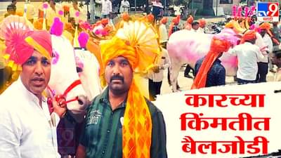 कारच्या किंमतीत जीवाशिवाची बैलजोड खरेदी, येगं रामाच्या बानाचा रं बानाचा, पाहा किती किंमत