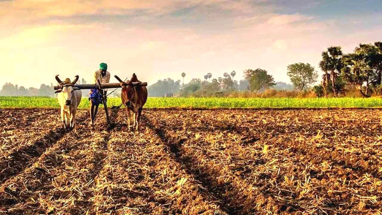 PM Kisan Samman Yojana : पीएम किसान योजनेतील पैसे सरकार या कारणाने परत घेणार, तुमचे तर नाव नाही ना ? PM Kisan Samman Yojana : पीएम किसान योजनेतील पैसे सरकार या कारणाने परत घेणार, तुमचे तर नाव नाही ना ?