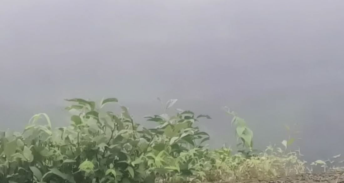 गेल्या तीन, चार दिवसांपासून राज्यात पाऊस सुरु झाला आहे. लोणावळ्यात मुसळधार पाऊस नसला तरी अधूनमधून पावसाच्या सरी पडत आहे. यामुळे पुणे, मुंबईतील पर्यटक वर्षाविहारसाठी शनिवारी आणि रविवारी लोणावळ्यात दाखल होतात. यामुळे पर्यटकांची गर्दी होत असते.