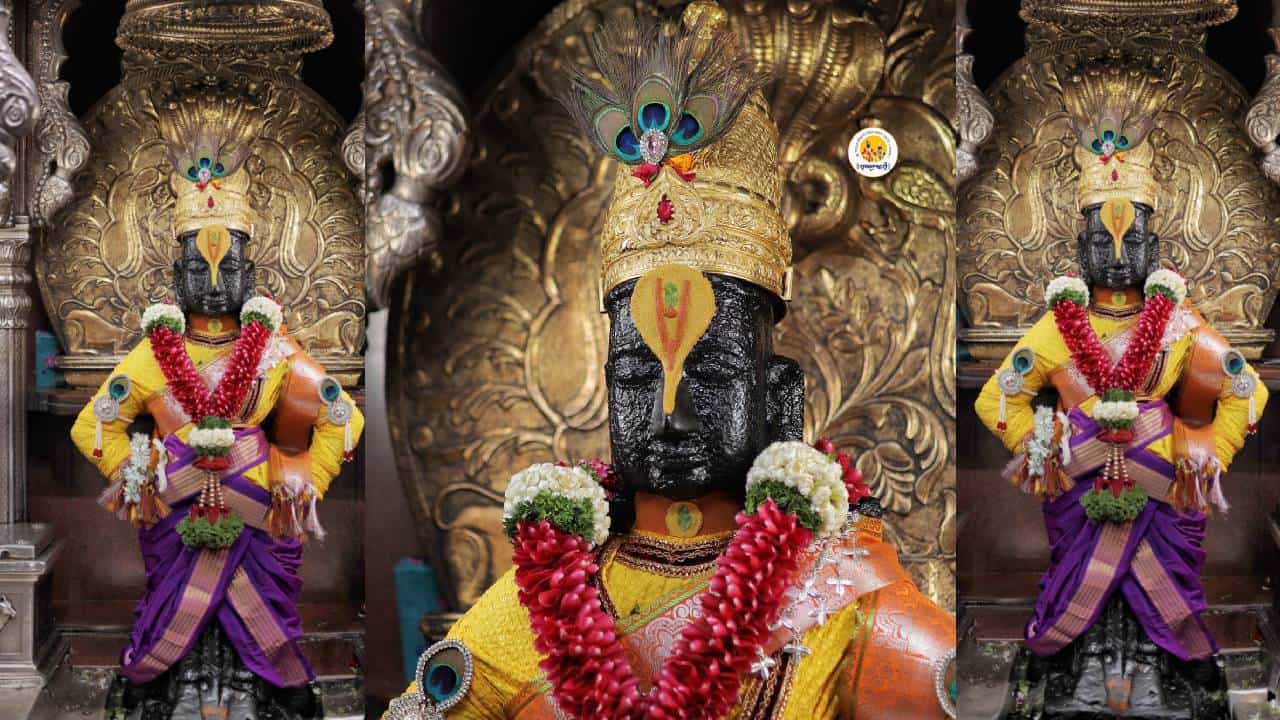 गोकुळाष्टमी निमित्त पंढरीच्या विठुरायाला सजवले श्रीकृष्णाच्या रूपात, बघा मोहक साज गोकुळाष्टमी निमित्त पंढरीच्या विठुरायाला सजवले श्रीकृष्णाच्या रूपात, बघा मोहक साज