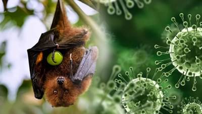 Nipah virus : निपाह व्हायरस कोरोनापेक्षाही धोकादायक, या राज्यात 4 जणांना लागण, इतर राज्यांना सतर्कतेचा इशारा