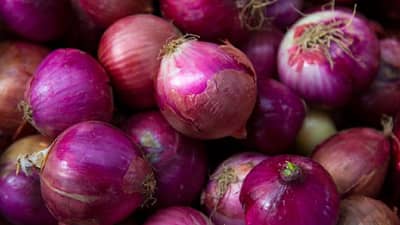 Health : तोंडाचा वास येतो म्हणून कांदा खात नसाल तर ही बातमी एकदा वाचाच, कारण...