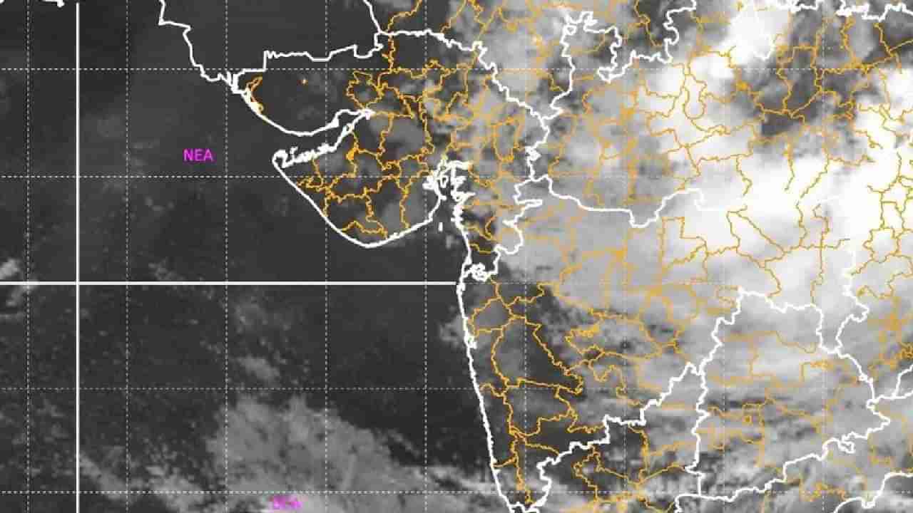 Rain  | राज्यात आजपासून पावसाचा जोर वाढणार, IMD कडून २४ जिल्ह्यांना पावसाचा अलर्ट