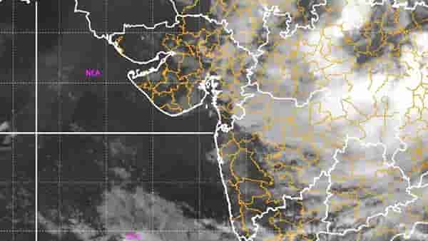 Rain | राज्यात आजपासून पावसाचा जोर वाढणार, IMD कडून २४ जिल्ह्यांना पावसाचा अलर्ट
