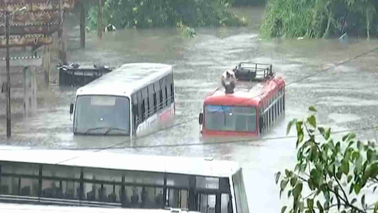 Rain Update | संपूर्ण राज्यात पावसाचा अलर्ट, विदर्भात पावसाची तुफान बॅटींग