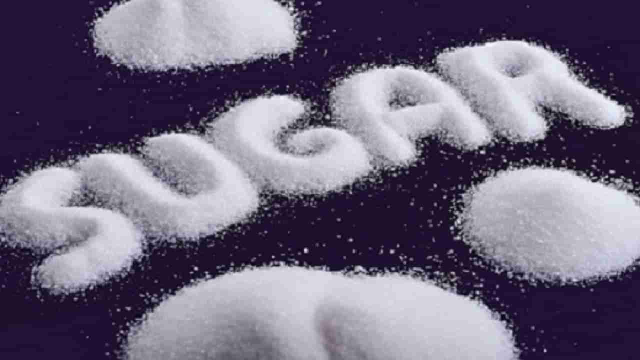 Share Market : शेअर बाजारात साखर पेरणी! Sugar Share ची कमाल