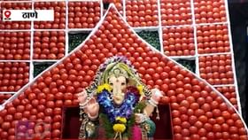 बाप्पासाठी कायपण ! चक्क २०० किलो टॉमेटोनं केली बाप्पाकरता सजावट बाप्पासाठी कायपण ! चक्क २०० किलो टॉमेटोनं केली बाप्पाकरता सजावट