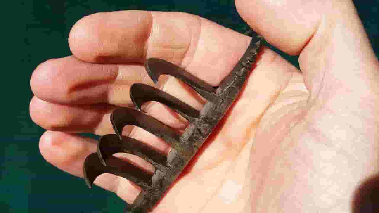 शिवप्रेमींसाठी अभिमानास्पद बाब, 'या' दिवशी शिवरायांची वाघनखं मुंबईत येणार