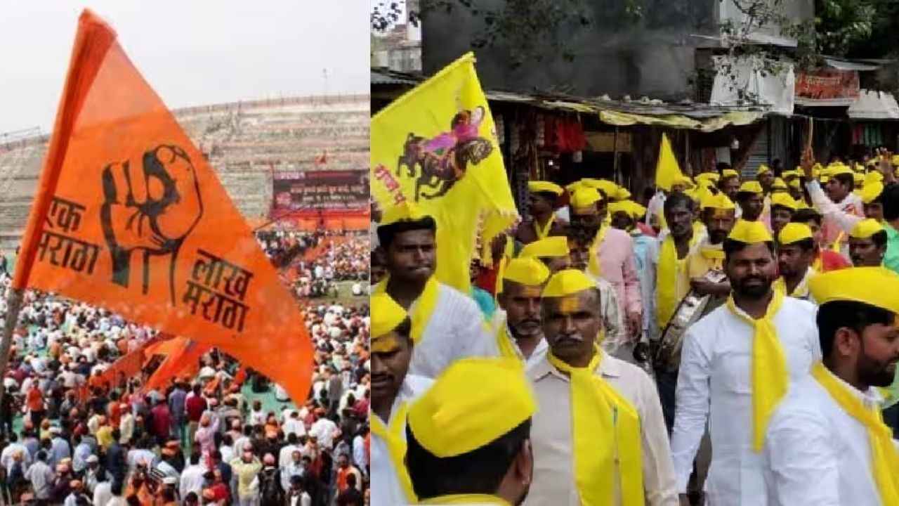 महाराष्ट्रात चाललंय काय? धनगर, ओबीसी, तरुणाई रस्त्यावर? कुठे झाले आंदोलन?